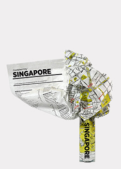 Многофункциональная карта Сингапура Palomar, фото