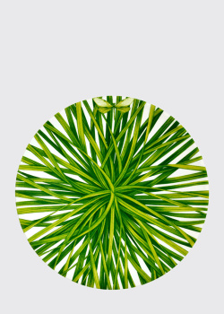 Тарелка салатная из костяного фарфора Taitu Life in Green 21,5см, фото