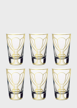 Набір склянок з візерунком Baccarat Apparat Silhouette 340мл 6шт, фото